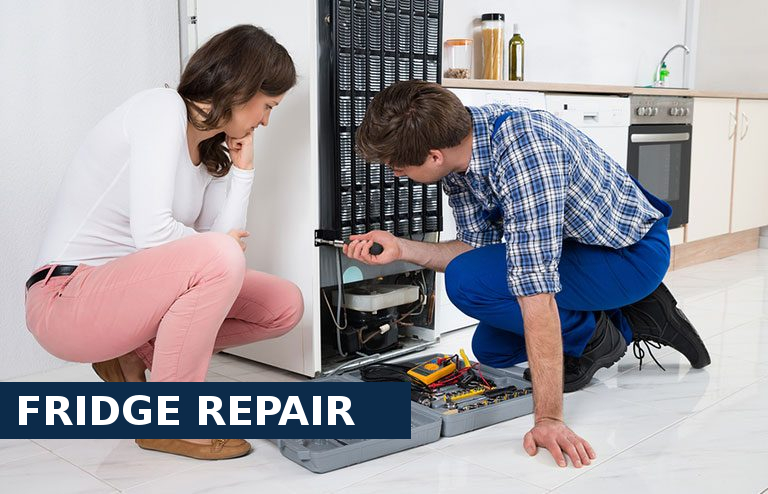 Fridge Repair Abbey Wood